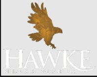 Hawke Financial Group LLC