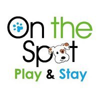 On the Spot Play & Stay