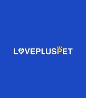 Best Dog Wheelchair For Sale | LOVEPLUSPET