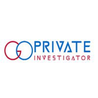 Go Private Investigator East Rand