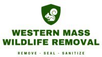 Western Mass Wildlife Removal