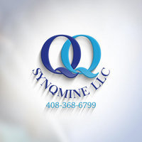 SYNQMINE Tax Planning and CFO Services