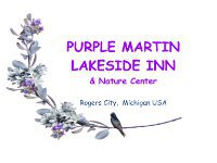 Purple Martin Lakeside Inn & Nature Center