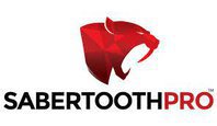 Sabertooth Tech Group, LLC.