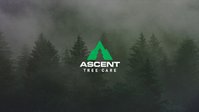 Ascent Tree Care