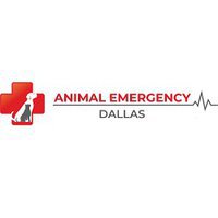 Dallas Animal Emergency