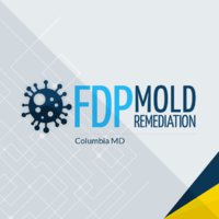 FDP Mold Remediation of Ellicott City