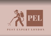 Pest Expert London