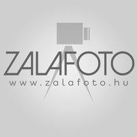 ZalaFoto