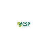 Raleigh IT Support Company and IT Services Provider | CSP Inc.