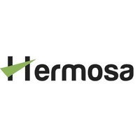 Hermosa Loans - Texas Cash Advance