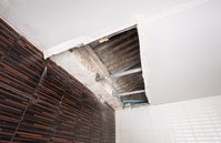 The Hub City Water Damage Solutions
