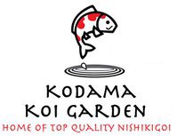 Kodama Koi Garden - NY