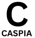 Caspia Research London's Premier Web Agency