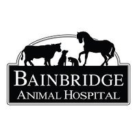 Bainbridge Animal Hospital