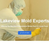 Commercial Mold Removal Services