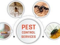 Hindustan Pest Control Services