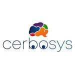 Cerbosys Technologies