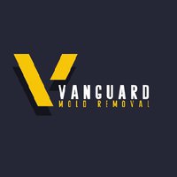 Vanguard Mold Removal