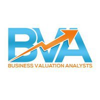 BUSINESS VALUATION ANALYSTS, INC.