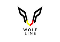 Wolfline Motorwork | Ceramic Coating | PPF | Detailing | Window Tinting Service