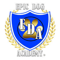 Epic Dog Academy