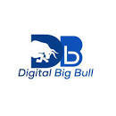 Digital Bigbull Digital Marketing Agency 