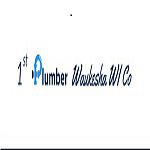 1st Plumber Waukesha WI Co
