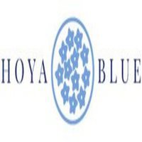 Hoya Blue Plants