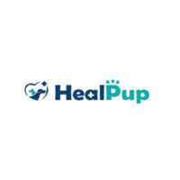healpup dog ankle brace,hock brace for dogs