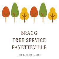 Bragg Tree Service 