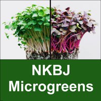 NKBJ Microgreens