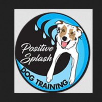 Positive Splash Dog Training