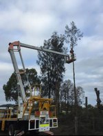 CPE Tree Services