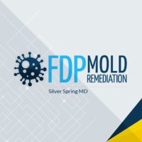 FDP Mold Remediation of Silver Spring