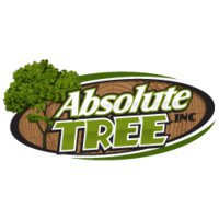 Absolute Tree Inc