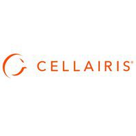 Cellairis - Device Repair and Accessory Store