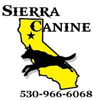 Sierra Canine