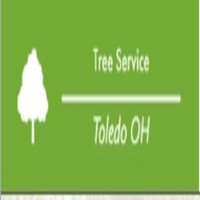 Tree Service Toledo OH
