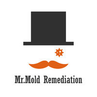 Mr.Mold Remediation