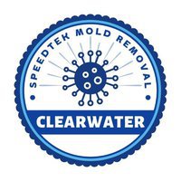 SpeedTek Mold Removal Clearwater