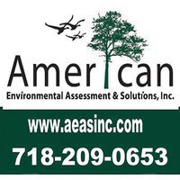 American Environmental Assessment & Solutions, Inc.