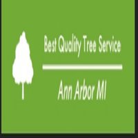 Best Quality Tree Service Ann Arbor MI