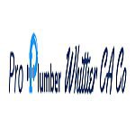Pro Plumber Whittier CA Co