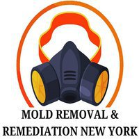 Mold Removal & Remediation New York - Bronx