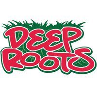 Deep Roots Concrete