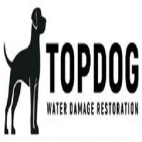 TopDog Water Damage Restoration of Davie