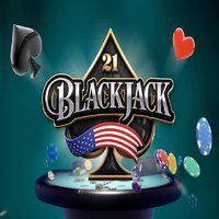 The Blackjack Guide