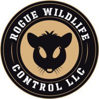 Rogue Wildlife Control
