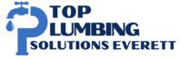 Top Plumbing Solutions Everett
